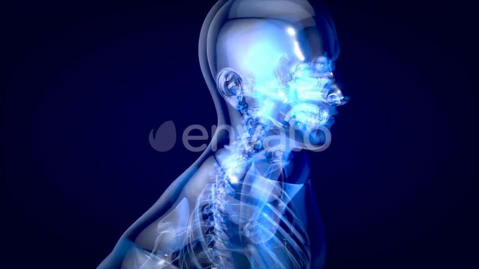 Man suffering of massive back pain Videohive 24753634 Motion Graphics Image 1