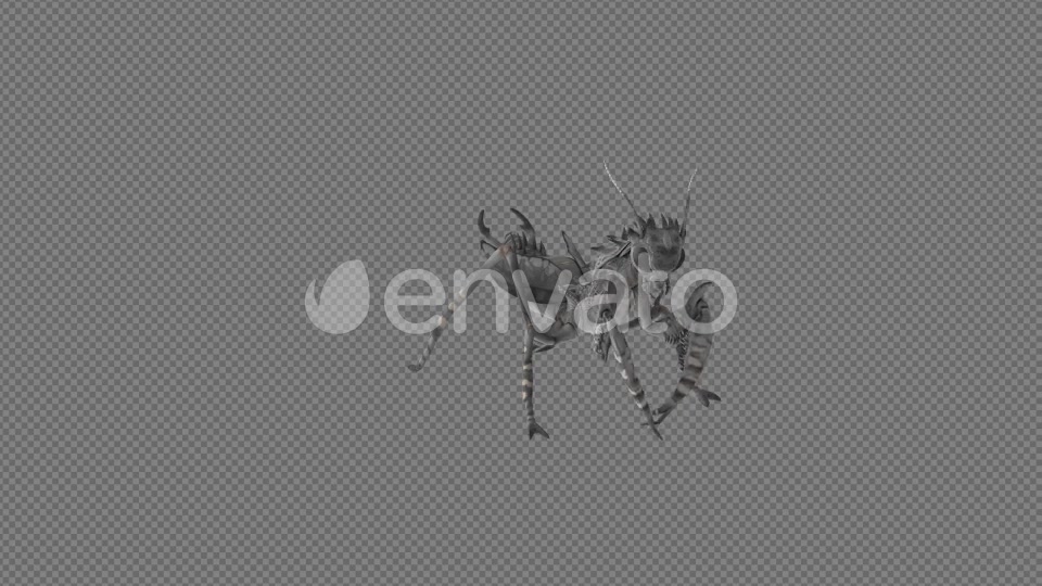 Mantis Lay Egg Idle Eat Pack 6In1 Videohive 22165171 Motion Graphics Image 5