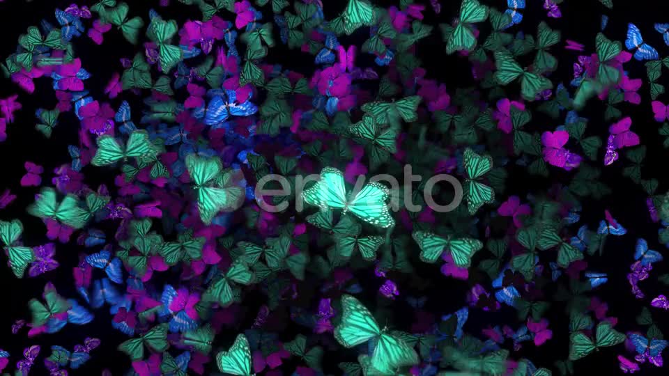 Many Flying Butterflies Videohive 22670074 Motion Graphics Image 1