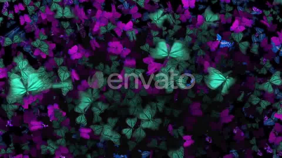 Many Flying Butterflies Videohive 22670074 Motion Graphics Image 11