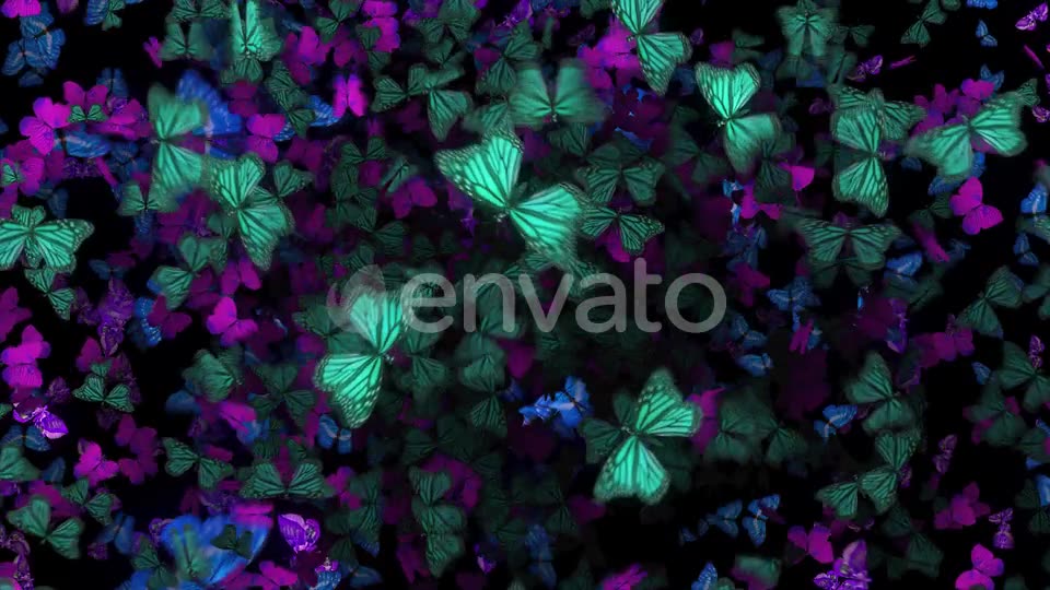 Many Flying Butterflies Videohive 22670074 Motion Graphics Image 2