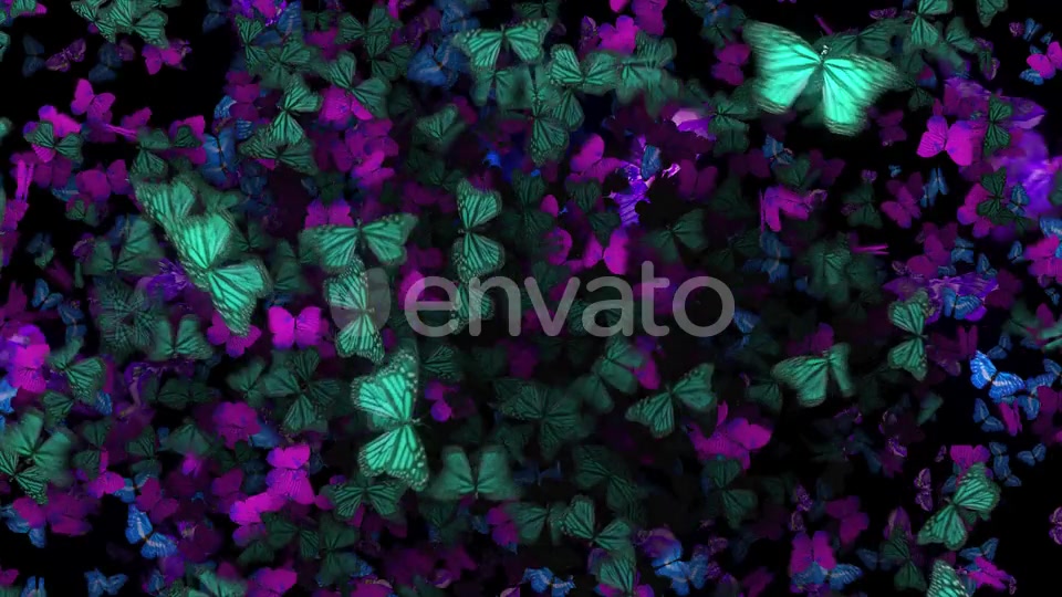 Many Flying Butterflies Videohive 22670074 Motion Graphics Image 3
