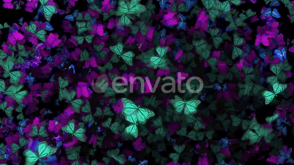 Many Flying Butterflies Videohive 22670074 Motion Graphics Image 4