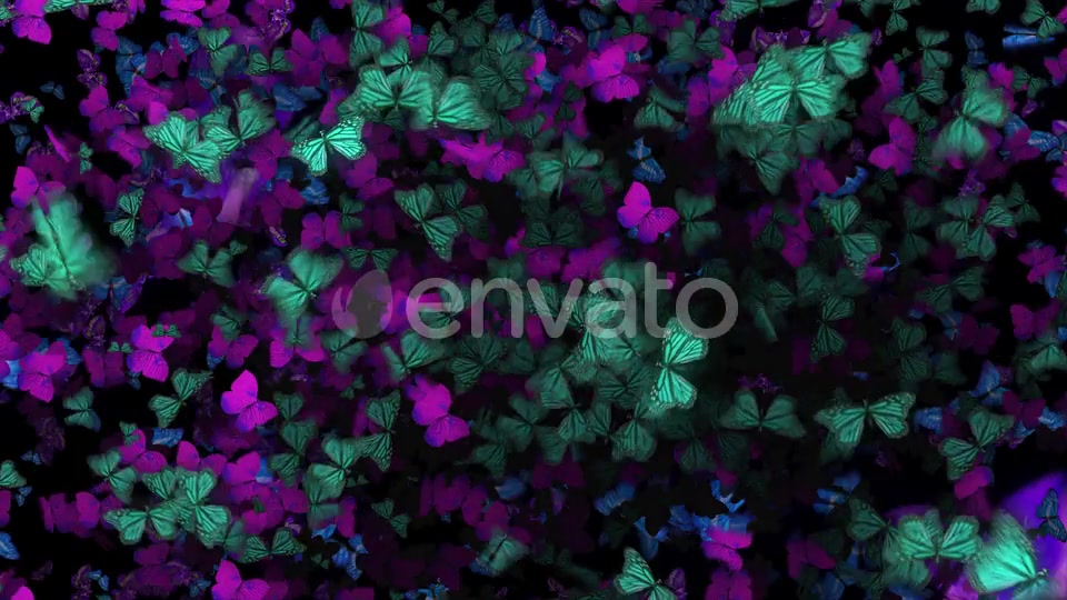 Many Flying Butterflies Videohive 22670074 Motion Graphics Image 5