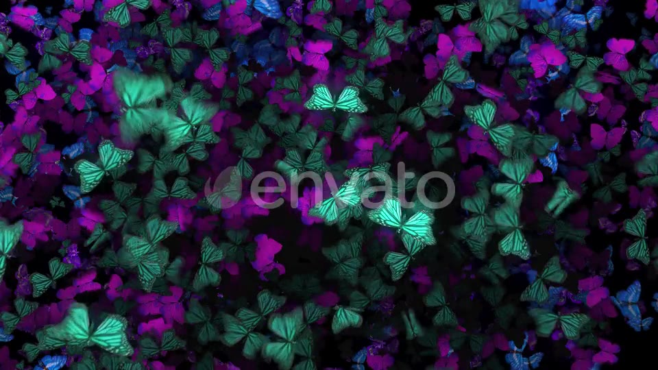 Many Flying Butterflies Videohive 22670074 Motion Graphics Image 6