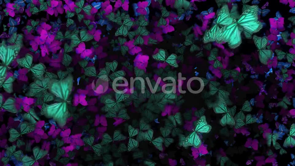 Many Flying Butterflies Videohive 22670074 Motion Graphics Image 7