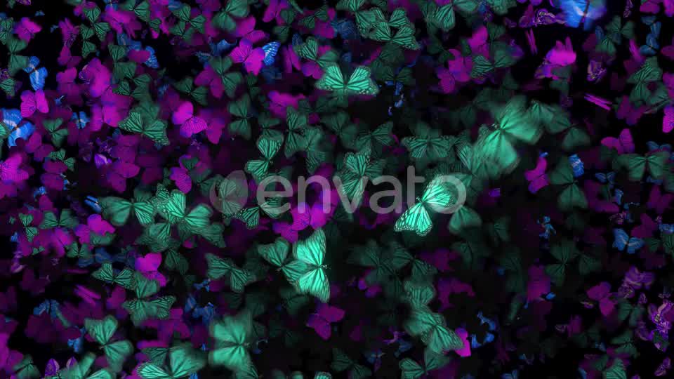 Many Flying Butterflies Videohive 22670074 Motion Graphics Image 8