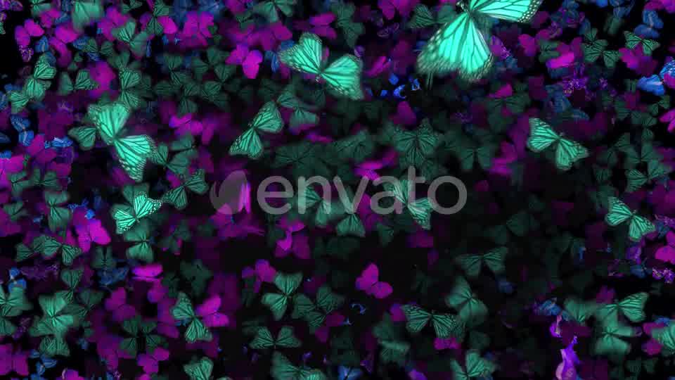 Many Flying Butterflies Videohive 22670074 Motion Graphics Image 9