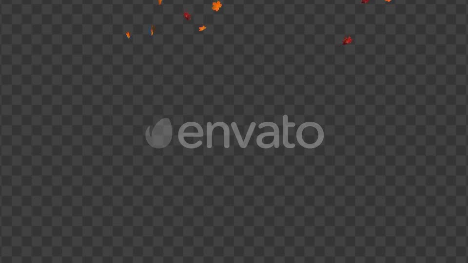 Maple Leaf 01 Videohive 22602727 Motion Graphics Image 1