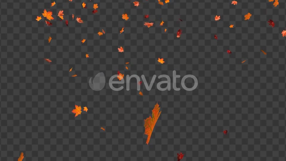 Maple Leaf 01 Videohive 22602727 Motion Graphics Image 2