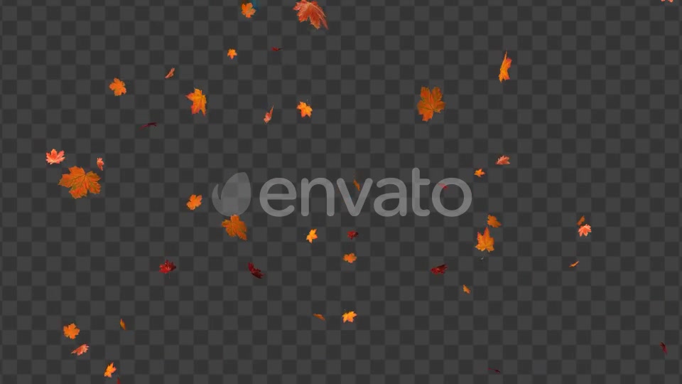 Maple Leaf 01 Videohive 22602727 Motion Graphics Image 5