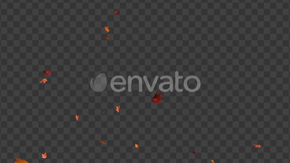 Maple Leaf 01 Videohive 22602727 Motion Graphics Image 6