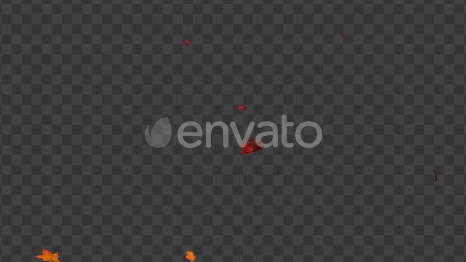 Maple Leaf 01 Videohive 22602727 Motion Graphics Image 8