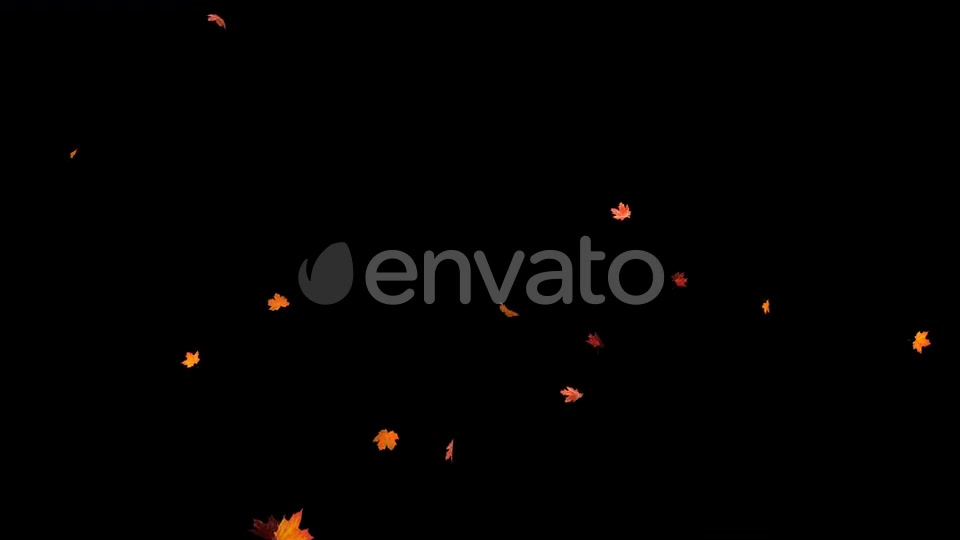 Maple Leaf 02 Videohive 22631195 Motion Graphics Image 9