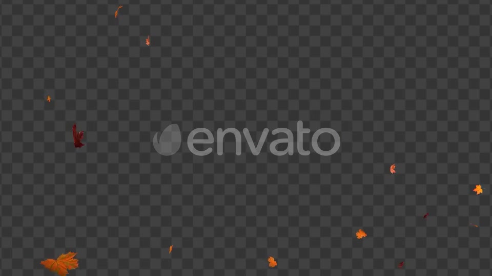 Maple Leaf 02 Videohive 22607919 Motion Graphics Image 10