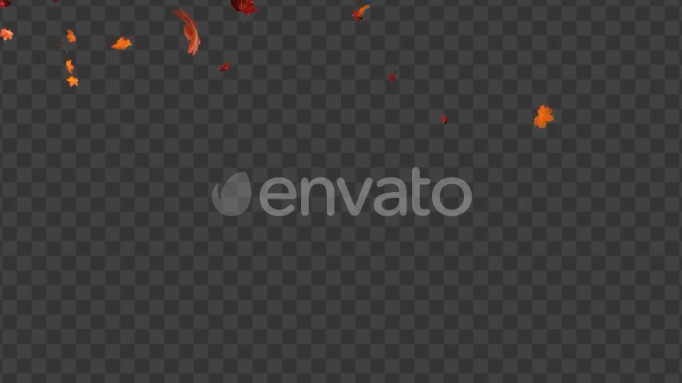 Maple Leaf 02 Videohive 22607919 Motion Graphics Image 3