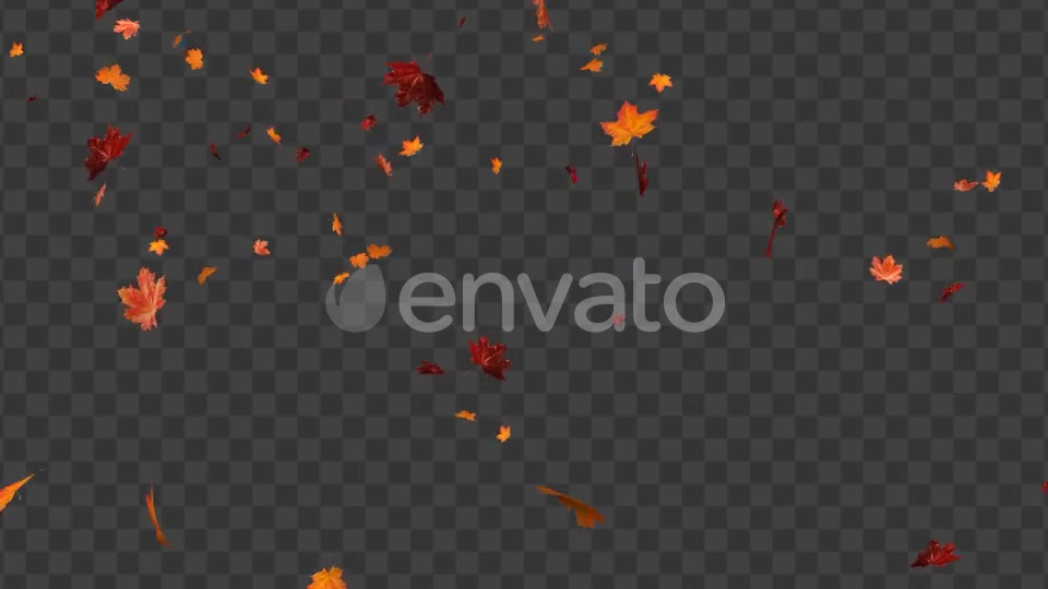 Maple Leaf 02 Videohive 22607919 Motion Graphics Image 5
