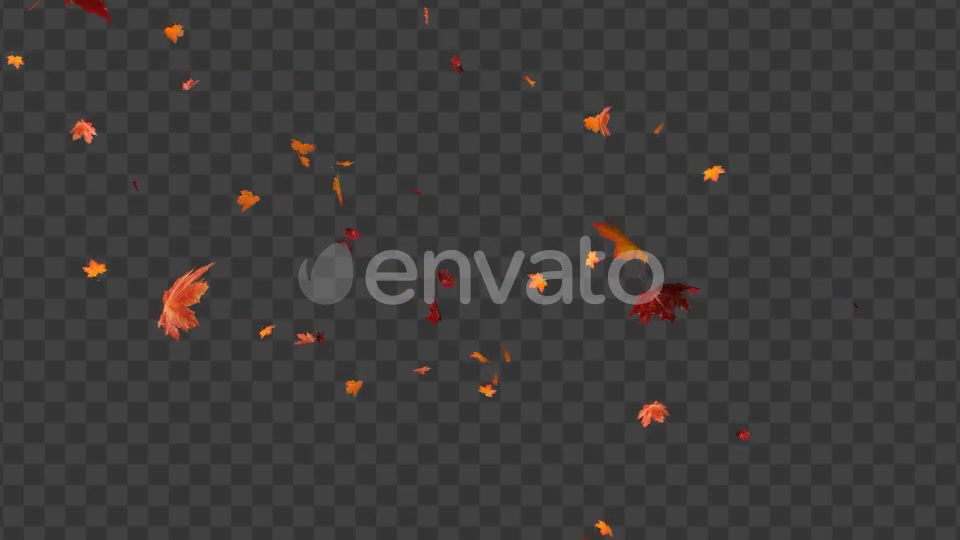 Maple Leaf 02 Videohive 22607919 Motion Graphics Image 6