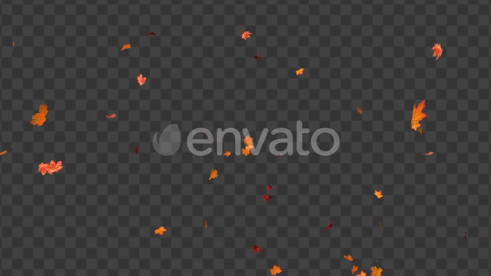 Maple Leaf 02 Videohive 22607919 Motion Graphics Image 7