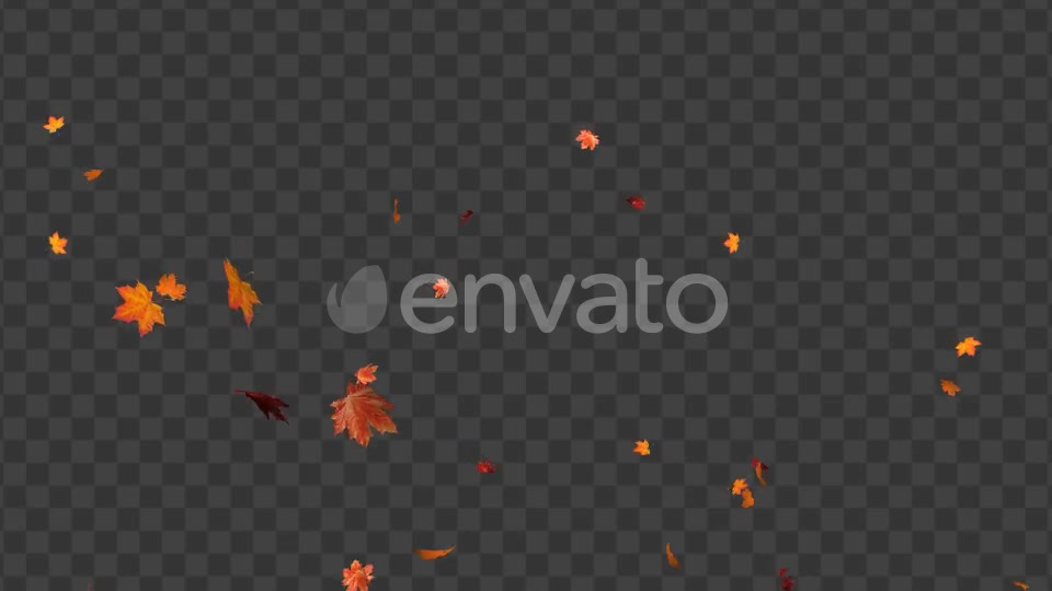 Maple Leaf 02 Videohive 22607919 Motion Graphics Image 8