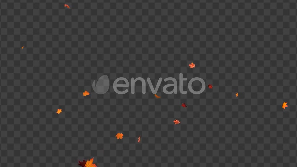 Maple Leaf 02 Videohive 22607919 Motion Graphics Image 9