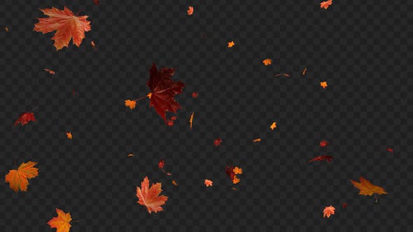 Maple Leaf 02 - Videohive Download 22607919