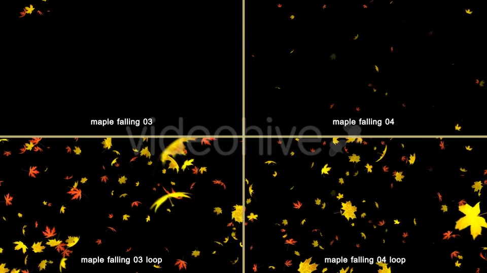 Maple Leaves Falling Videohive 20466874 Motion Graphics Image 6