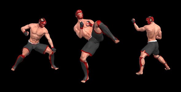 Martial Art Male Fighter Combo 03 - Download Videohive 15719128