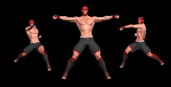 Martial Art Male Fighter Combo 06 - Download Videohive 15719146