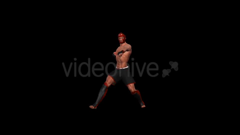 Martial Art Male Fighter Kanku Videohive 15719157 Motion Graphics Image 1