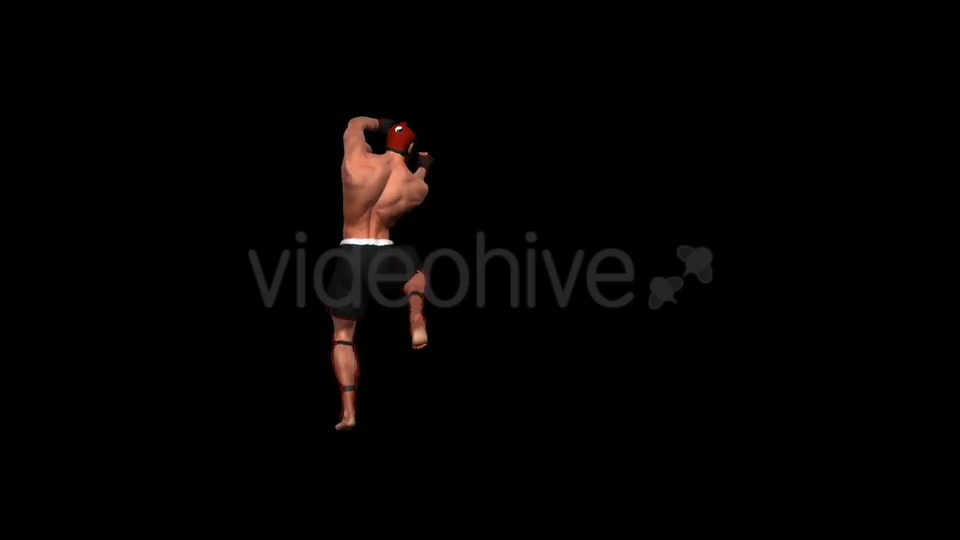 Martial Art Male Fighter Kanku Videohive 15719157 Motion Graphics Image 2