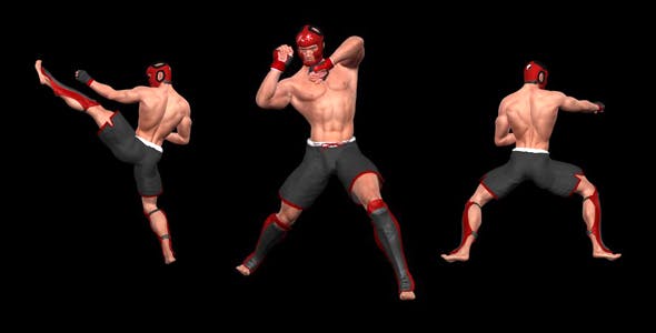 Martial Art Male Fighter Kanku - 15719157 Download Videohive