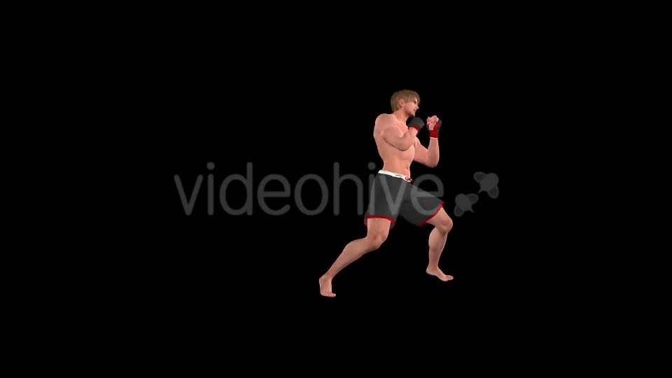 Martial Arts Boxing Combo X European Fighter Pack of 2 Videohive 19774414 Motion Graphics Image 1