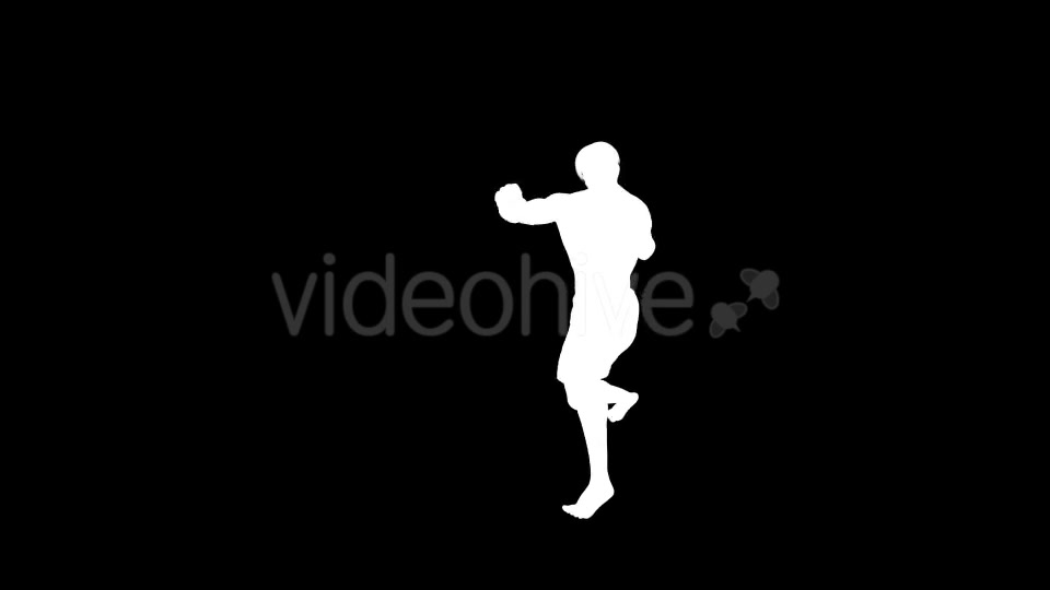 Martial Arts Boxing Combo X European Fighter Pack of 2 Videohive 19774414 Motion Graphics Image 10