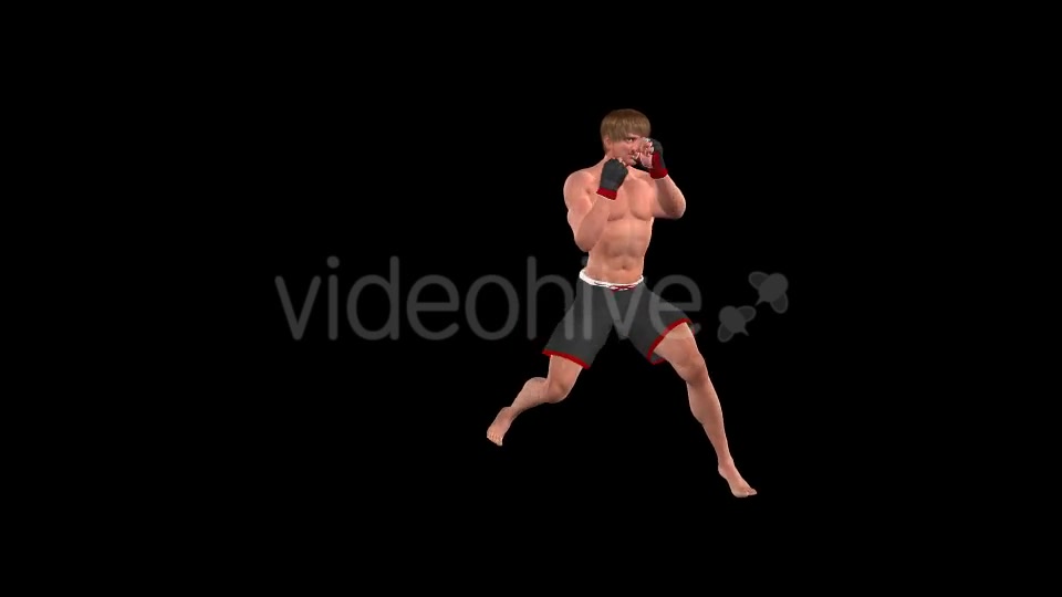 Martial Arts Boxing Combo X European Fighter Pack of 2 Videohive 19774414 Motion Graphics Image 2
