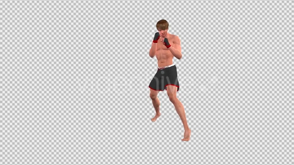 Martial Arts Boxing Combo X European Fighter Pack of 2 Videohive 19774414 Motion Graphics Image 3