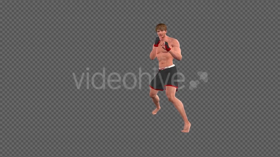 Martial Arts Boxing Combo X European Fighter Pack of 2 Videohive 19774414 Motion Graphics Image 4