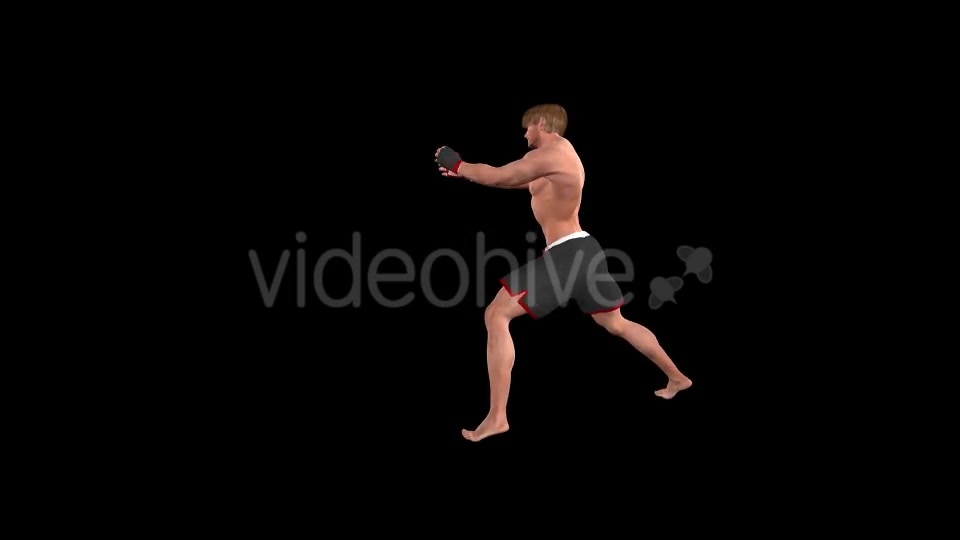 Martial Arts Boxing Combo X European Fighter Pack of 2 Videohive 19774414 Motion Graphics Image 5