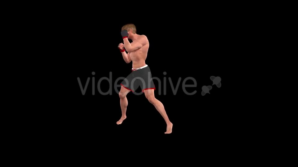 Martial Arts Boxing Combo X European Fighter Pack of 2 Videohive 19774414 Motion Graphics Image 6