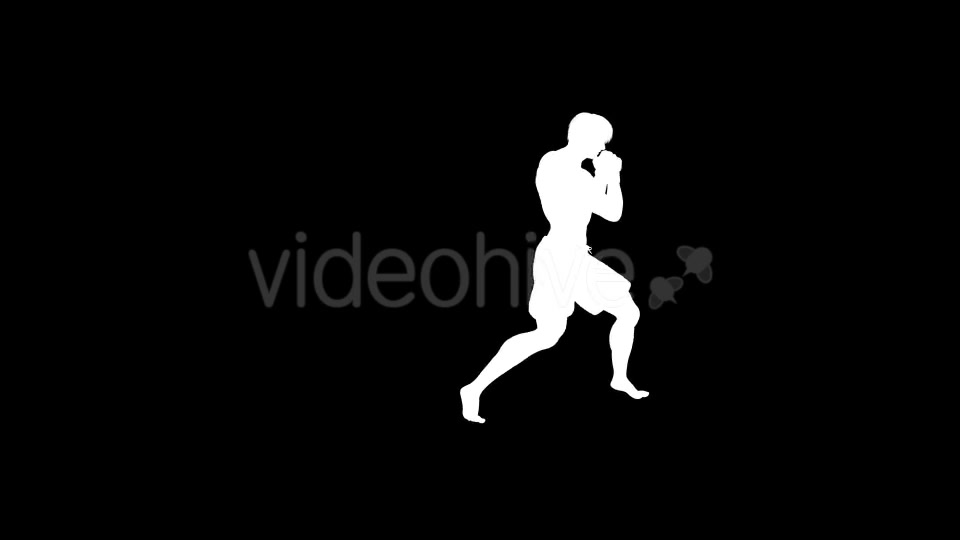 Martial Arts Boxing Combo X European Fighter Pack of 2 Videohive 19774414 Motion Graphics Image 7