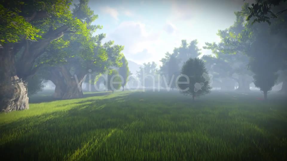 Matte Painting Forest Videohive 19078985 Motion Graphics Image 1