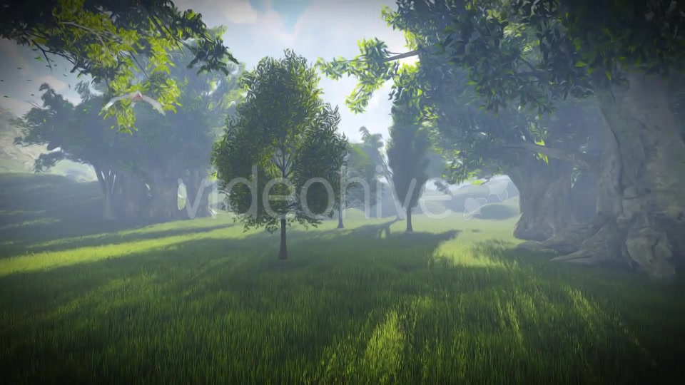 Matte Painting Forest Videohive 19078985 Motion Graphics Image 11