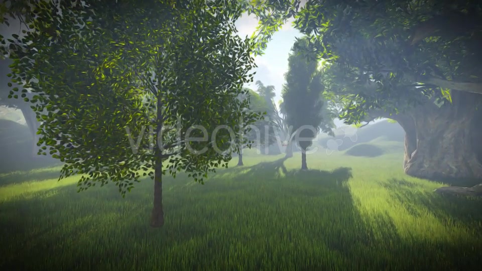 Matte Painting Forest Videohive 19078985 Motion Graphics Image 12