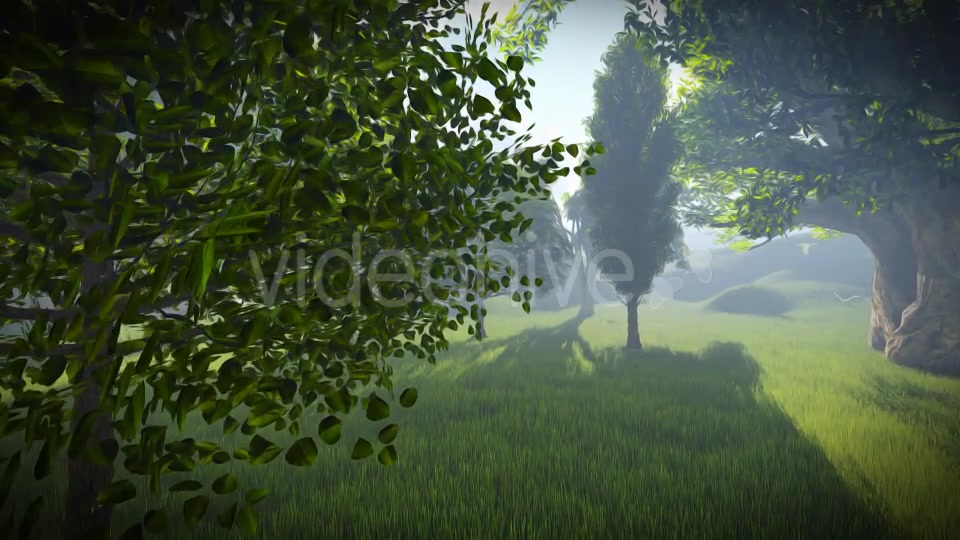 Matte Painting Forest Videohive 19078985 Motion Graphics Image 13