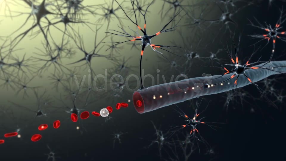 Medical Animation Videohive 19186775 Motion Graphics Image 2