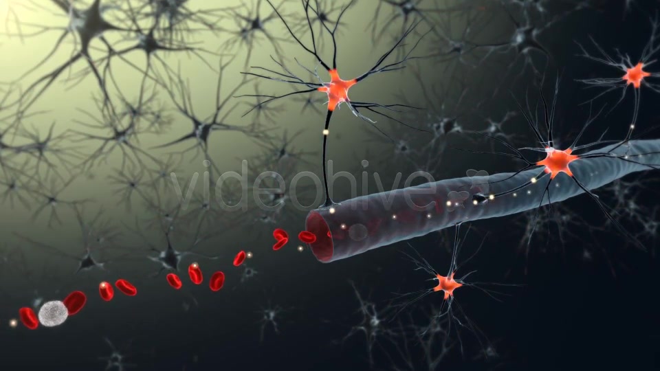 Medical Animation Videohive 19186775 Motion Graphics Image 3