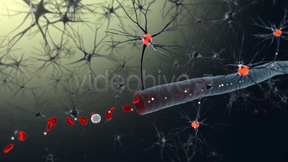 Medical Animation Videohive 19186775 Motion Graphics Image 4