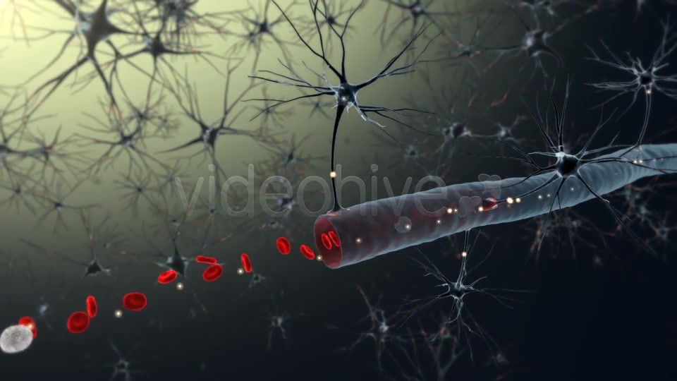 Medical Animation Videohive 19186775 Motion Graphics Image 5