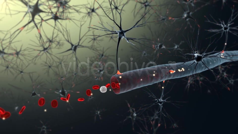 Medical Animation Videohive 19186775 Motion Graphics Image 6