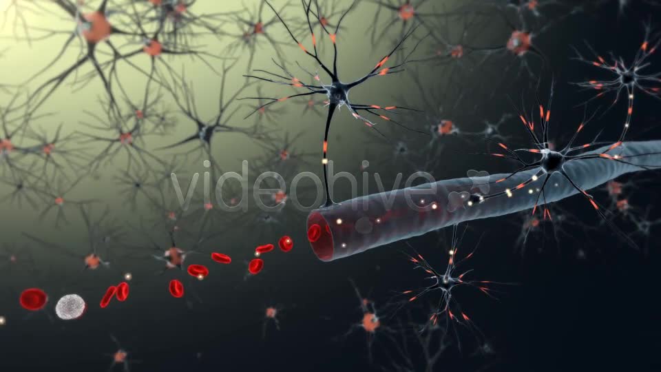 Medical Animations Pack Videohive 20102396 Motion Graphics Image 1